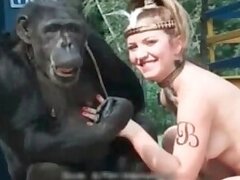 Woman animal sex