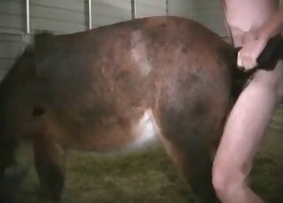 Anal domination session with a smaller beast