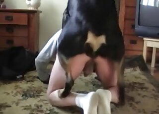 White socks man getting anally desolated