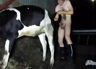 Cow fucking has never looked more appealing