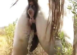 Wild pony fucking horses in a doggystyle video - 種馬と動物XXX 