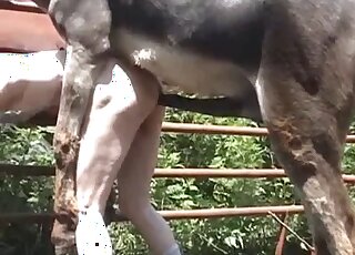 Good-looking animal gets freaky AF for the cam