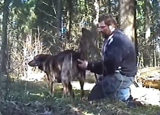 Dude devouring that dog's asshole outdoors