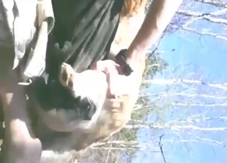 Dog really gets in that ass in an outdoor vid