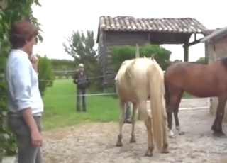 Brown mare looks fresh and tight with a stallion