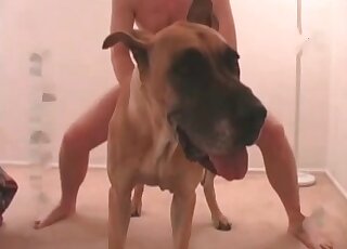 Dirty anal action with a hot hunter