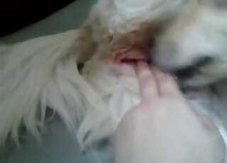 Dude happily fingers that tight hole