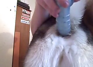 Pretty nice-looking animal likes nasty anal games