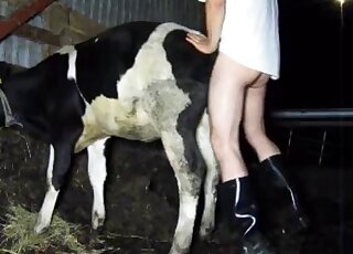 Dude fucks his sexy cow from behind