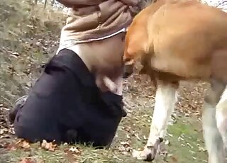 Brown dog fucks outdoors with a sweet zoophile - 種馬と動物XXX 