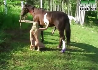 Outdoor sex game with a massive stallion
