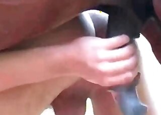 Gay dude gets banged by a horse